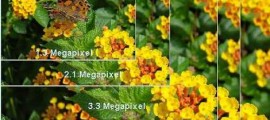 megapixels