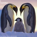 World Photo London